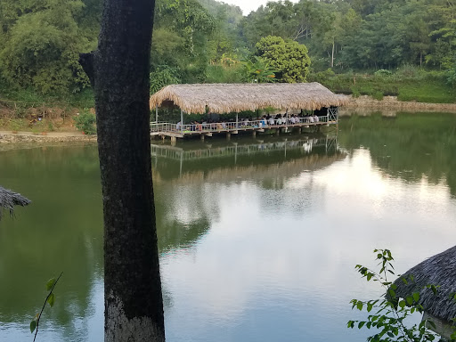 Hồ câu Mạnh Tuấn ăn uống tại nhà hàng