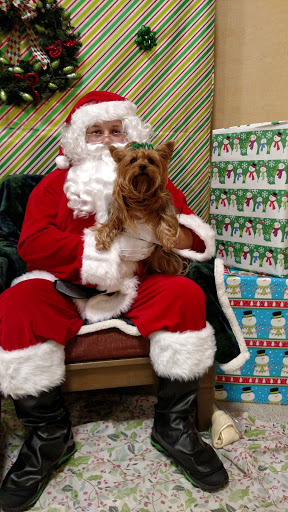 Pet Supply Store «PetSmart», reviews and photos, 6001 Wesley Grove Blvd, Wesley Chapel, FL 33544, USA