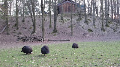 Photos of Parc au animaux du bois de la b&acirc;tie