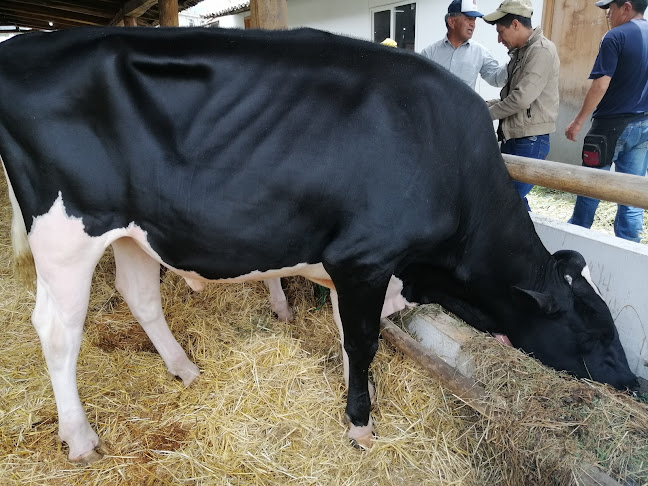 Opiniones de Asociación Holstein Friesian del Ecuador en Quito - Asociación