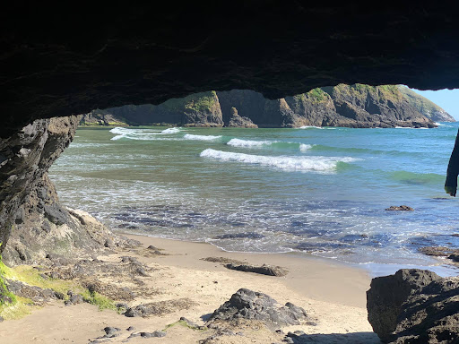 Tourist Attraction «Heceta Head Lighthouse», reviews and photos, 725 Summer St, Florence, OR 97439, USA