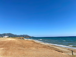 Photo de Paralia Alkionas avec un niveau de propreté de très propre