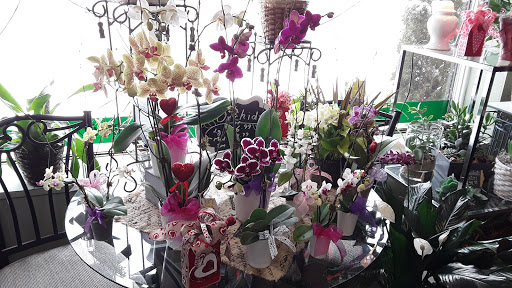 Florist «Grande Flowers», reviews and photos, 1433 E Capitol Dr, Shorewood, WI 53211, USA