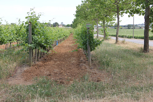 Domaine de la Baume à Servian