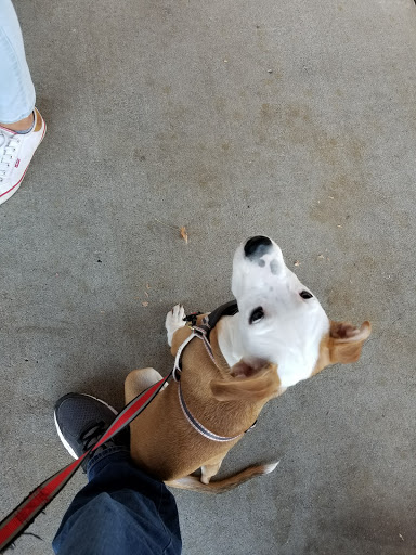 Pet Supply Store «Incredible Pets», reviews and photos, 4005 Manzanita Ave # 41, Carmichael, CA 95608, USA