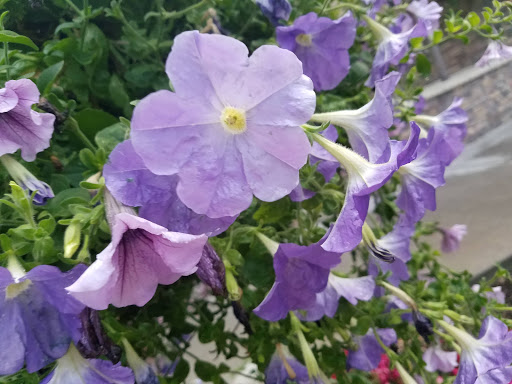 Movie Theater «Megaplex Theatres at Legacy Crossing», reviews and photos, 1075 Legacy Crossing Boulevard, Centerville, UT 84014, USA