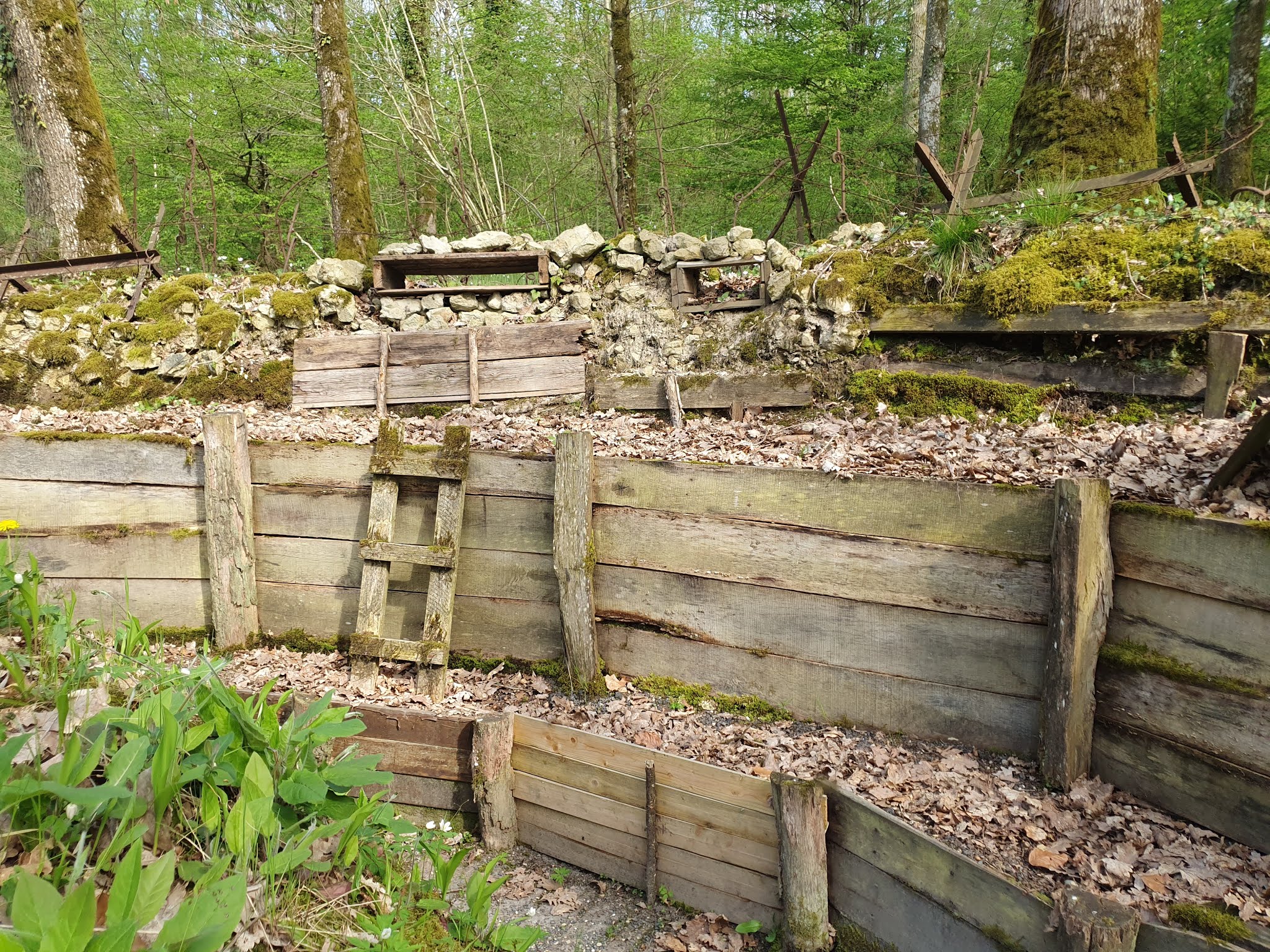 Photo n° 13 de l'avis de Nachtalb. fait le 23/04/2019 à 12:32