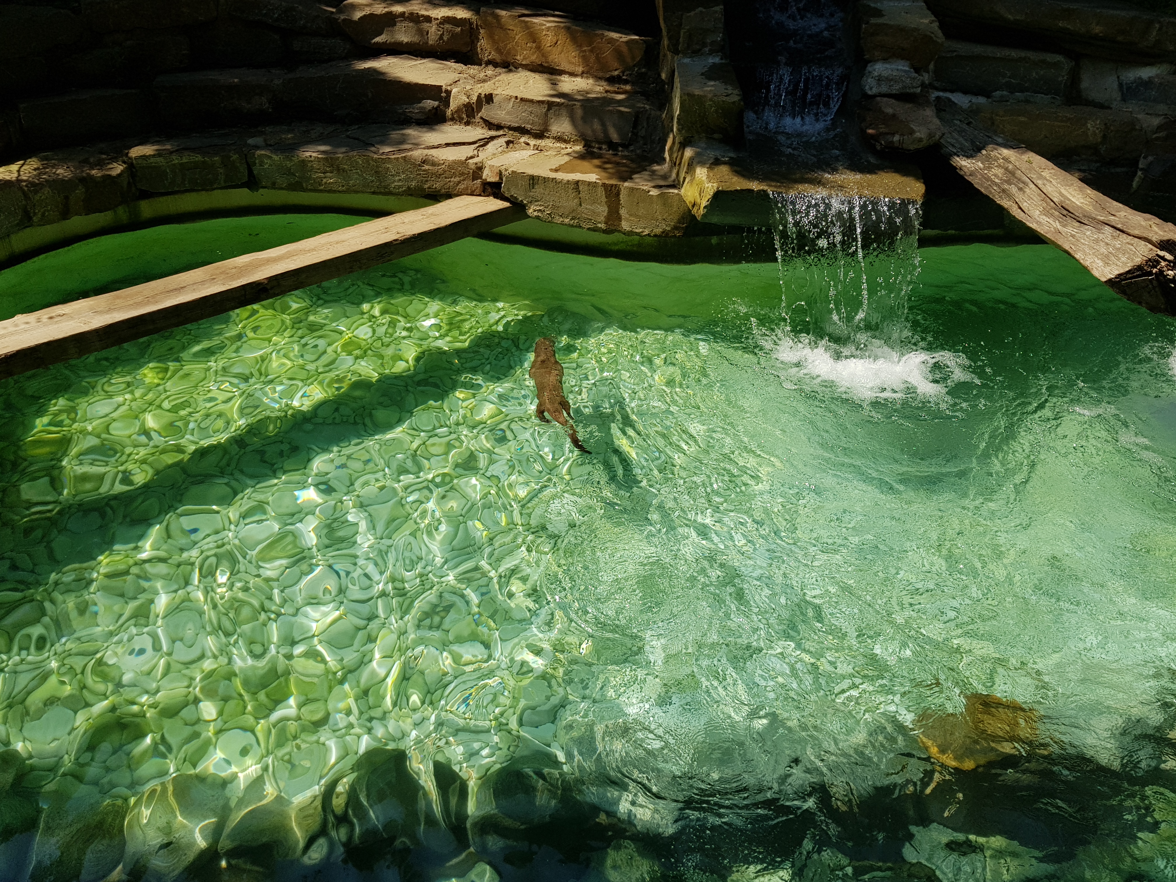 Photo n° 3 de l'avis de Tako.a fait le 27/08/2021 à 13:08