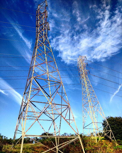 Park «Tilden Regional Park», reviews and photos, 2501 Grizzly Peak Boulevard, Orinda, CA 94563, USA