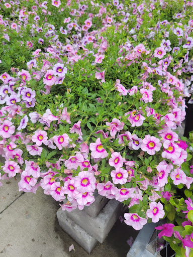 Home Improvement Store «The Home Depot», reviews and photos, 10233 Lakeridge Pkwy, Ashland, VA 23005, USA