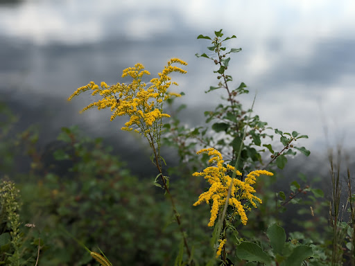 State Park «Ashland State Park», reviews and photos, 162 W Union St, Ashland, MA 01721, USA