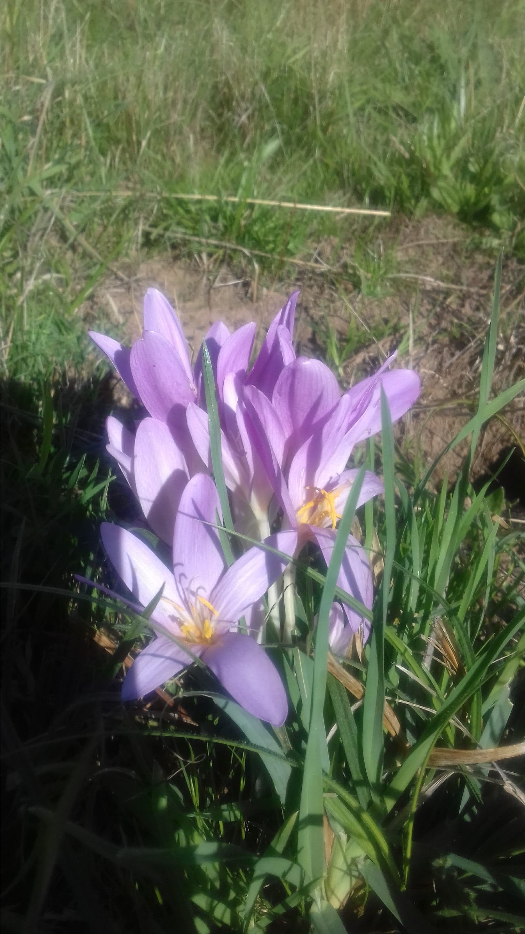 Photo n° 14 de l'avis de Isabelle.u fait le 29/09/2019 à 00:38