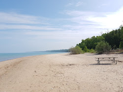 Point Farm Beach'in fotoğrafı - rahatlamayı sevenler arasında popüler bir yer