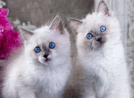 American Restaurant «Cracker Barrel Old Country Store», reviews and photos, 6941 Charlotte Pike, Nashville, TN 37209, USA