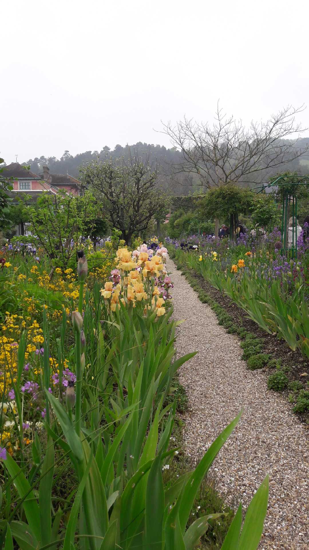 Photo n° 12 de l'avis de Olive.. fait le 19/05/2019 à 15:09