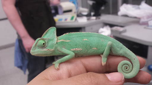 Pet Supply Store «Petco Animal Supplies», reviews and photos, 4751 W 29th St, Greeley, CO 80634, USA