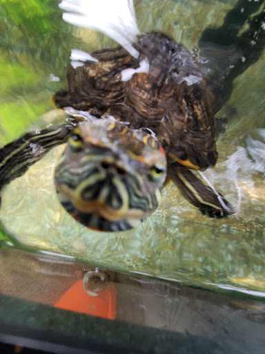 Pet Supply Store «PetSmart», reviews and photos, 1810 Cumming Hwy, Canton, GA 30114, USA