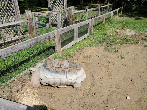 Zoo «Cleveland Metroparks Zoo», reviews and photos, 3900 Wildlife Way, Cleveland, OH 44109, USA