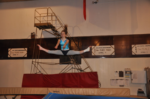 Gymnastics Center «Nova Sports Summer Camp at Nova Athletic Club», reviews and photos, 3701 Surf Ave, Brooklyn, NY 11224, USA