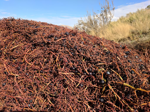 Vineyard «Mellisoni Vineyards», reviews and photos, 3155 US-97 ALT, Chelan, WA 98816, USA