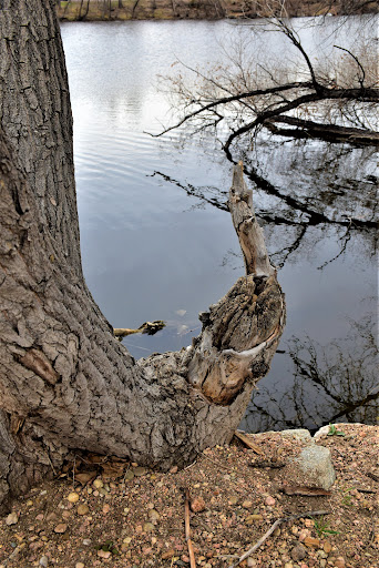 Park «Vanderbilt Park», reviews and photos, 855 S Platte River Dr, Denver, CO 80223, USA