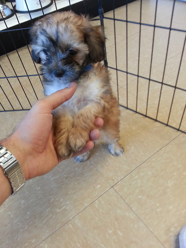 Pet Supply Store «Just Pets», reviews and photos, 8874 Maximus Dr, Lone Tree, CO 80124, USA