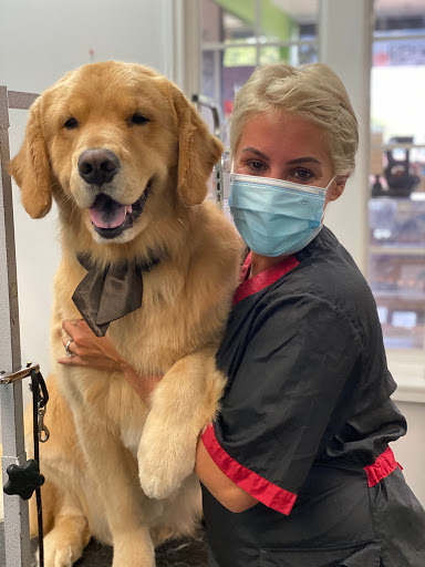 Pet Store «Canine Carousel», reviews and photos, 43135 Broadlands Center Plaza #129, Ashburn, VA 20148, USA