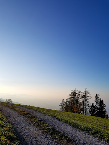 Startplatz für Hängegleiter Fluggebiet Rorschacherberg - Sportstätte