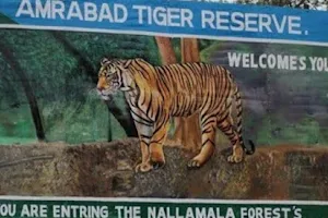 Amrabad Tiger Reserve image
