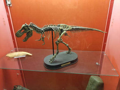 Zoo «Zoological Wildlife Foundation», reviews and photos, 16225 SW 172nd Ave, Miami, FL 33187, USA