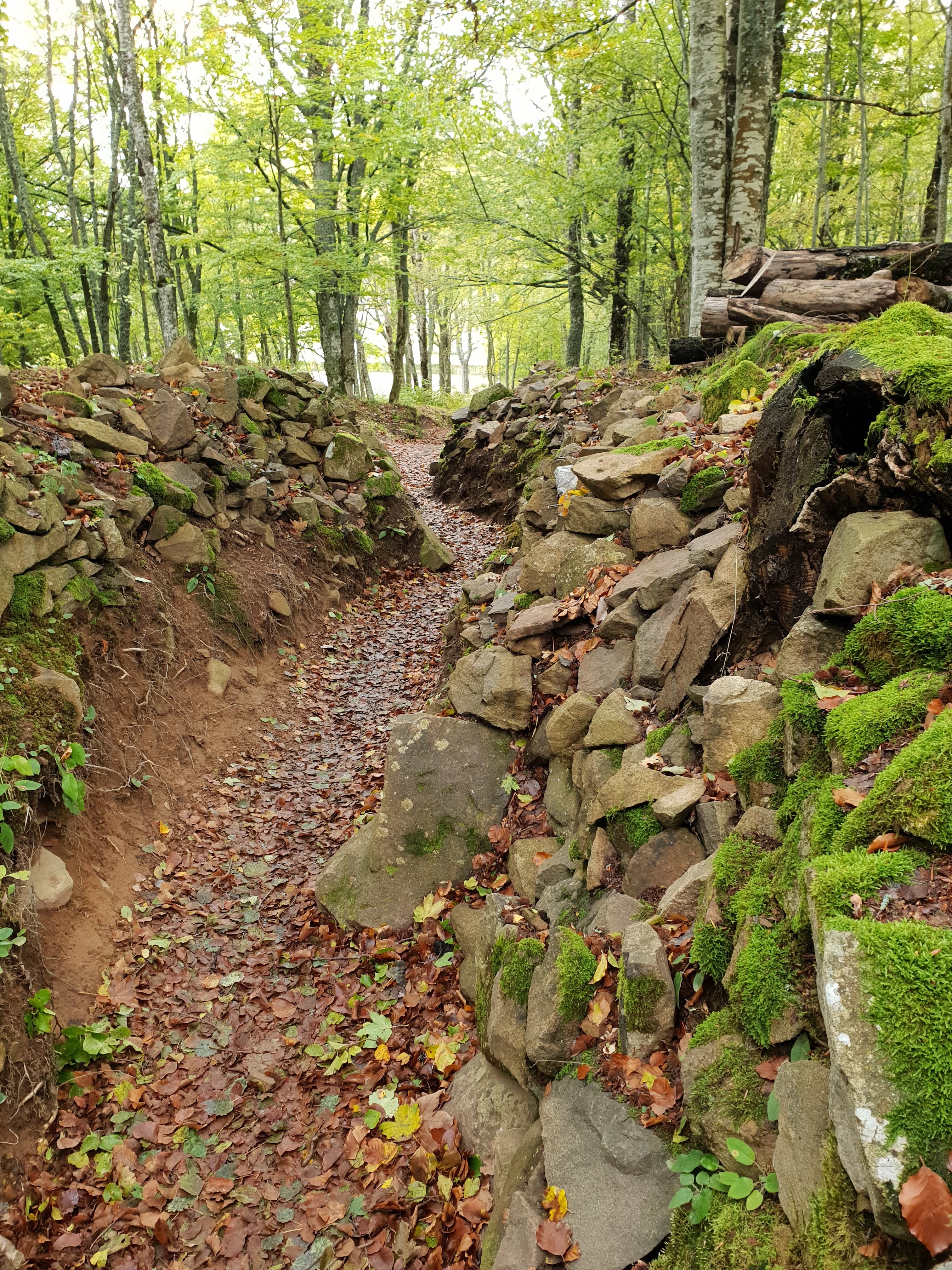 Photo n° 16 de l'avis de sandra.w fait le 26/10/2020 à 15:14