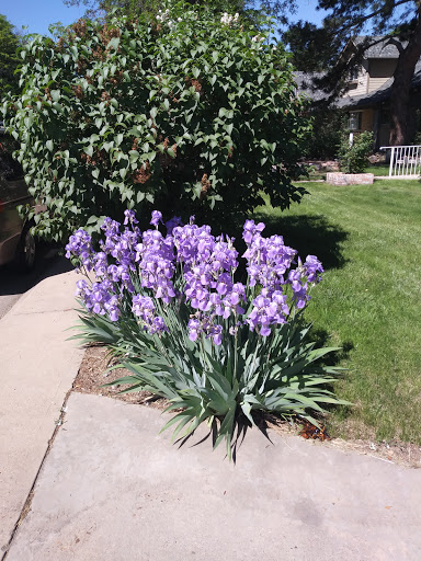 Park «Del Mar Park», reviews and photos, 12000 E 6th Ave, Aurora, CO 80010, USA