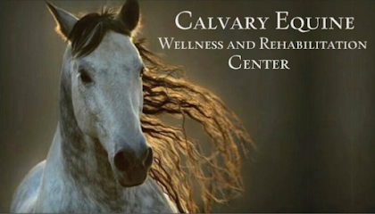 CALVARY EQUINE Wellness and Rehabilitation Center