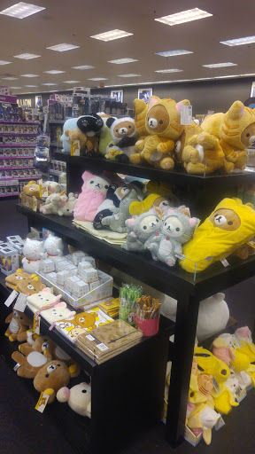 Book Store «Books-A-Million», reviews and photos, 2929 James Sanders Blvd, Paducah, KY 42001, USA