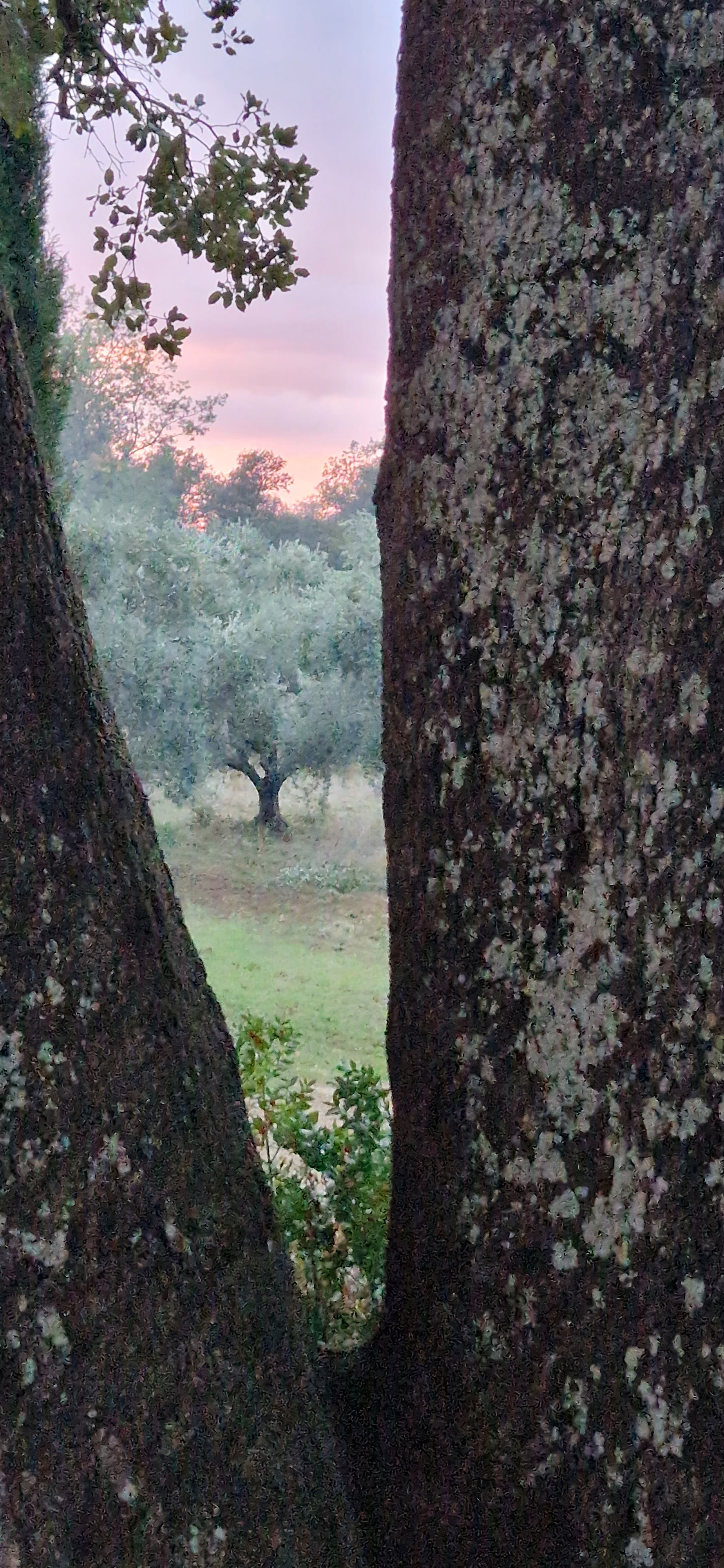 Photo n° 2 de l'avis de Barbara.t fait le 07/11/2023 à 16:39