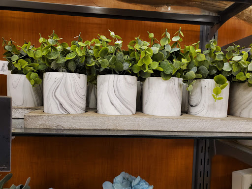 Department Store «T.J. Maxx», reviews and photos, 1334 Park St, Stoughton, MA 02072, USA