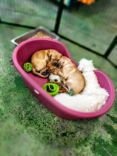 Pet Store «Animart», reviews and photos, 4303 E Towne Way, Madison, WI 53704, USA