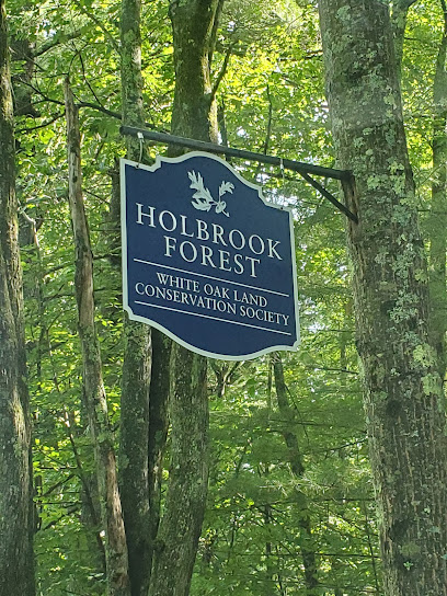 Holbrook Forest