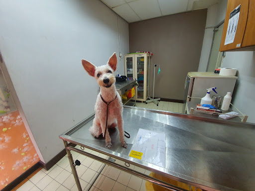 Dog boarding kennels in Kualalumpur