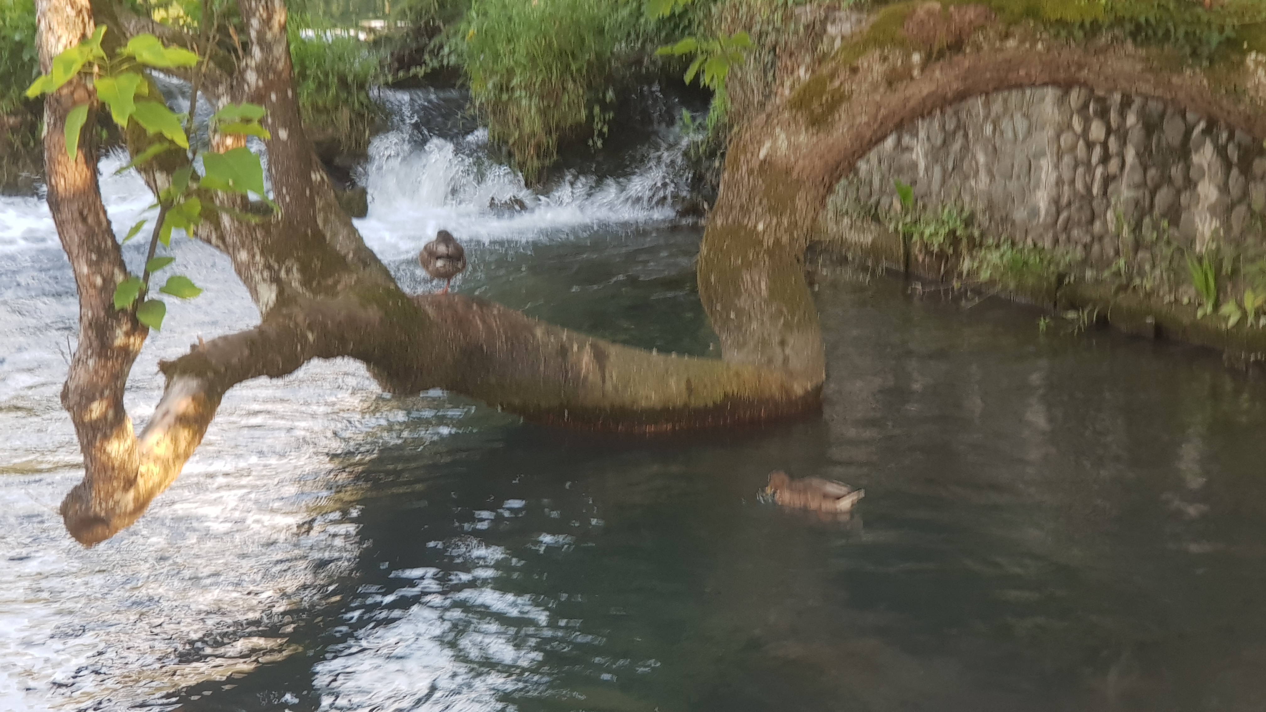 Photo n° 26 de l'avis de Bruno.o fait le 24/07/2019 à 07:55