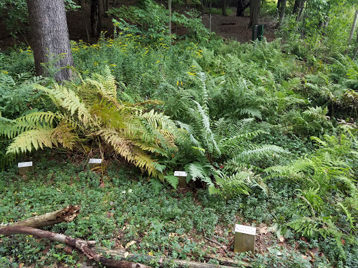 Nature Preserve «Beaver Meadow Audubon Center», reviews and photos, 1610 Welch Rd, Java Center, NY 14082, USA