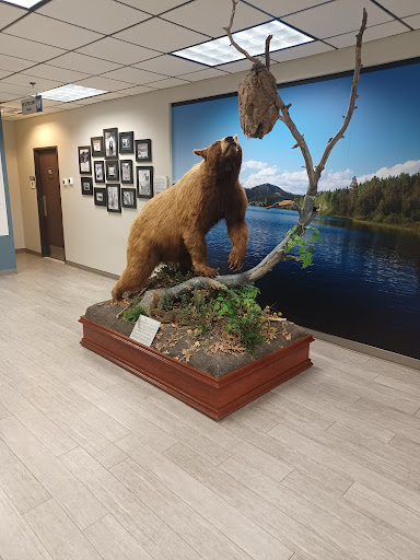 Nevada Department Of Wildlife