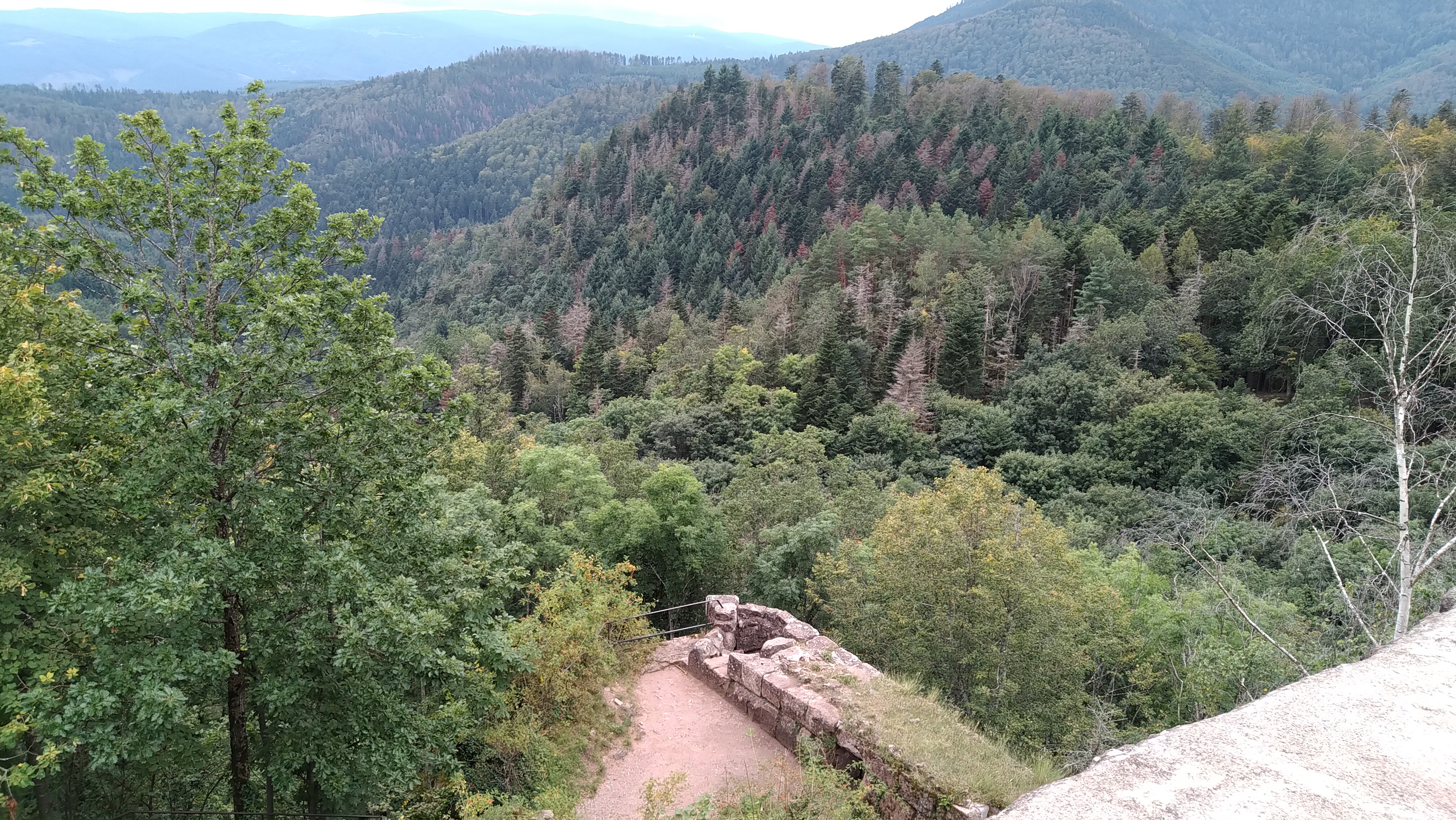 Photo n° 2 de l'avis de ATY.� fait le 10/09/2021 à 15:32