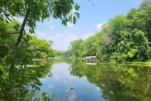 Maple Grove Arboretum image