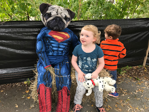 Ice Cream Shop «Pugnuts Ice Cream Shop», reviews and photos, 1276 ME-172, Surry, ME 04684, USA