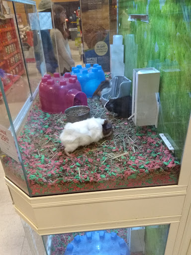 Pet Supply Store «PetSmart», reviews and photos, 1040 Cross Creek Dr, Saltillo, MS 38866, USA