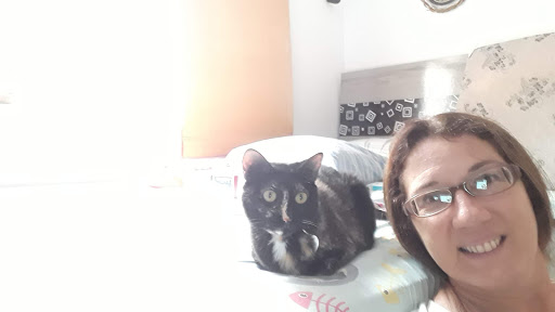 Peti Gatô em São José dos Campos - SP