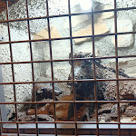 Photo n°2 de l'avis de Patrizio.o fait le 22/01/2022 à 21:41 sur le  Bar Ristorante Il Cacciatore à Tirli