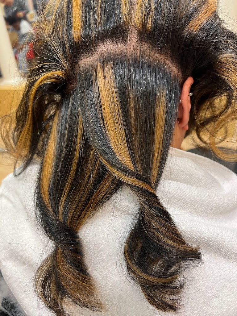 Sky Dominican Hair Salon 20695