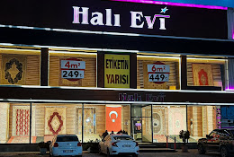 Hali Evi